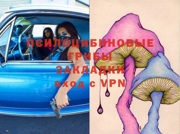 твердый Алексин