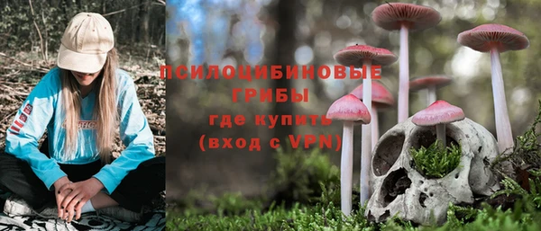 твердый Алексин