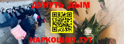 стаф Гулькевичи