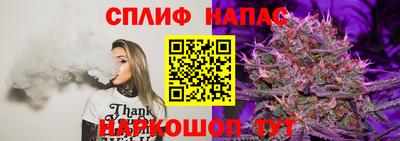 стаф Гулькевичи