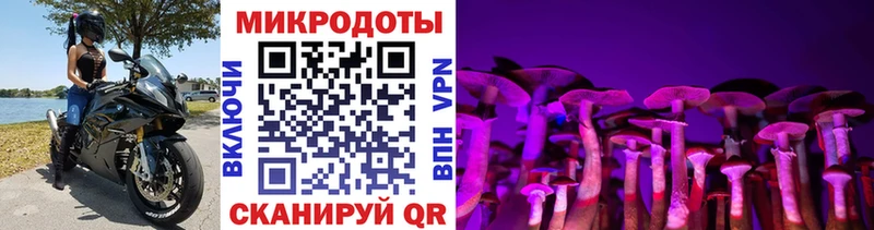 Галлюциногенные грибы Cubensis  KRAKEN маркетплейс  Грязи 