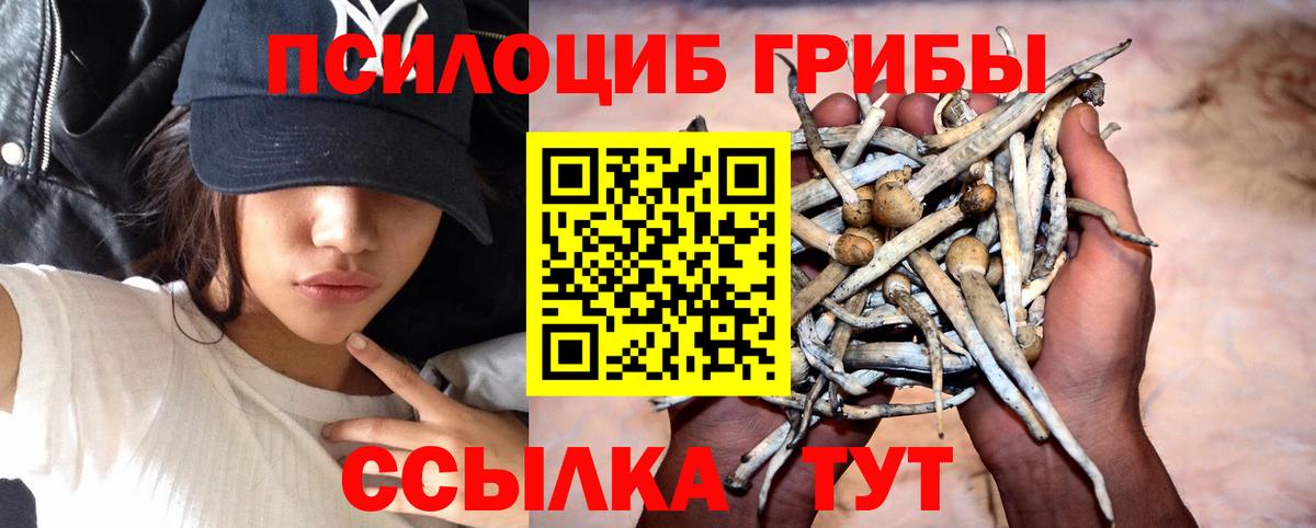 Грязи  Галлюциногенные грибы мицелий  Вход с VPN 