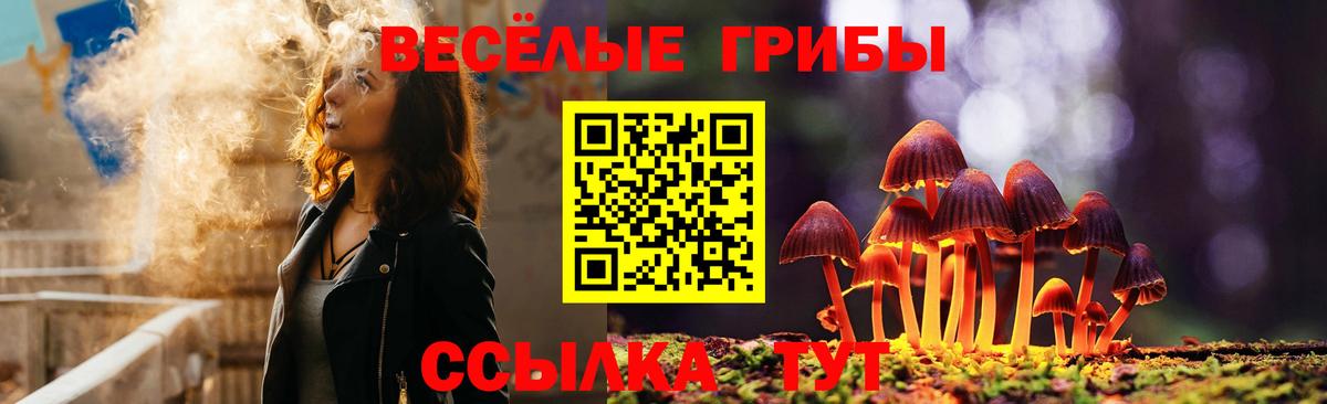 Галлюциногенные грибы мицелий Грязи